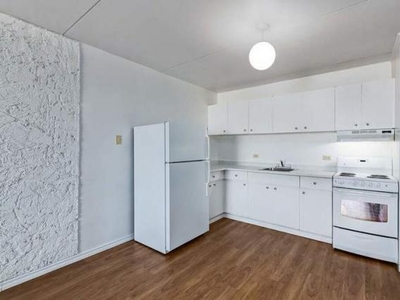 1 Bedroom Apartment Unit Winnipeg MB For Rent At 1032