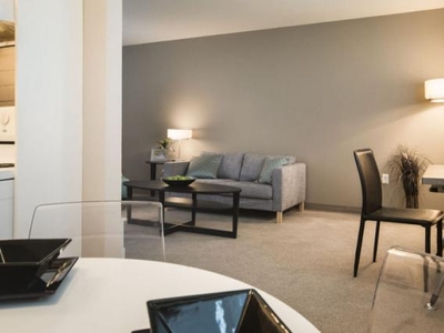 1 Bedroom Apartment Unit Winnipeg MB For Rent At 994