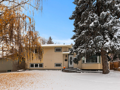 Calgary Pet Friendly House For Rent | North Glenmore Park | Available May 1st Updated Lakeview