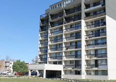 Lethbridge Pet Friendly Apartment For Rent | Redwood | Cumberland Towers