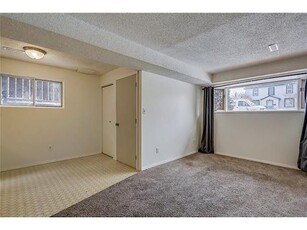 Calgary Pet Friendly Basement For Rent | Inglewood | 1 bedroom+office storage room basement suite