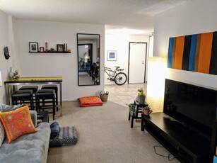 Calgary Pet Friendly Condo Unit For Rent | Beltline | Downtown Cozy 2 Bedroom Apartment
