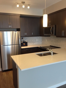 Calgary Condo Unit For Rent | Auburn Bay | 1 Bedroom Auburn Bay apartment