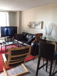 Calgary Condo Unit For Rent | Eau Claire | EAU CLAIRE- Newly renovated and