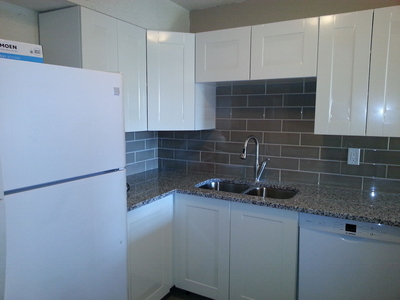 Calgary Condo Unit For Rent | Killarney | Extensively renovated bathroom&kitchen granite