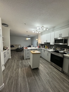Calgary Pet Friendly Condo Unit For Rent | Country Hills Village | spacious 1 bed room Apartment