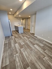 Edmonton Pet Friendly Basement For Rent | Blatchford | ALL Utilities Included Brand New