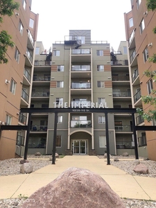Edmonton Pet Friendly Condo Unit For Rent | Oliver | Just Renovated downtown Furnished quiet
