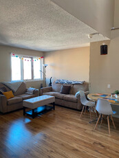 Apartment Sublet in Sandy Hill, 2 bed 1 bath (June to August)