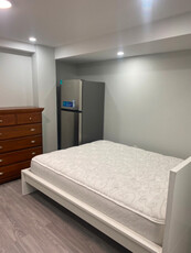 Private Large Room with private Washroom Brand New Basement