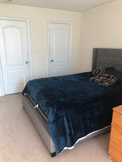 Specious Upper Level Room For RENT