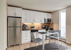 Calgary Pet Friendly Apartment For Rent | Erlton | 127 25 AVE SW