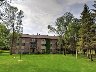 Apartment Verdun Québec