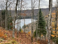 219333 square feet Land in Mont-Tremblant, Quebec