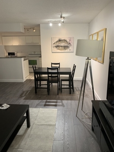 Calgary Condo Unit For Rent | Windsor Park | Renovated LARGE 2 Bedroom Condo