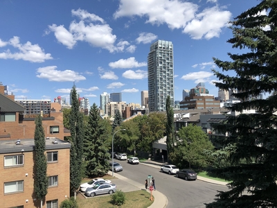 Calgary Pet Friendly Condo Unit For Rent | Lower Mount Royal | NEWLY RENOVATED SPACIOUS CONDO WITH
