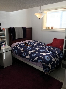 Edmonton Basement For Rent | McKernan | 2 to 3 Bedroom Basement