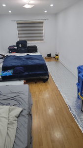 Shared Cheap rooms 500$ each person
