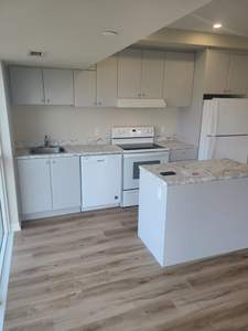 Brand new - 2 bedroom condo available for lease