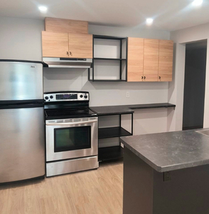 NEWLY RENOVATED 2 BEDROOM LOWER LEVEL APARTMENT FOR RENT