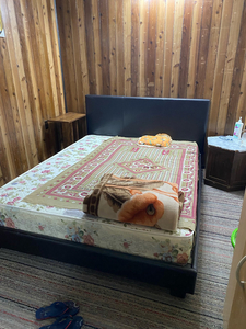 Basement room available for two girls on a sharing basis