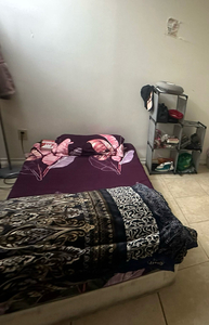 Female furnished shared room Opp Sheridian Brampton Immediate