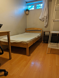 For Male, Basement Room with Window, Parking @York University