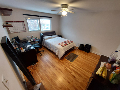 Furnished Master bedroom for rent