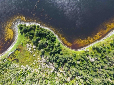 924343 square feet Land in Lake Charlotte, Nova Scotia