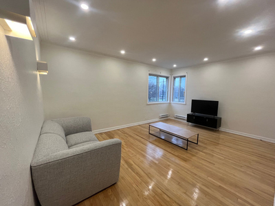 BIG & BRIGHT 2 bedroom RENOVATED in ROSEMONT avail NOW