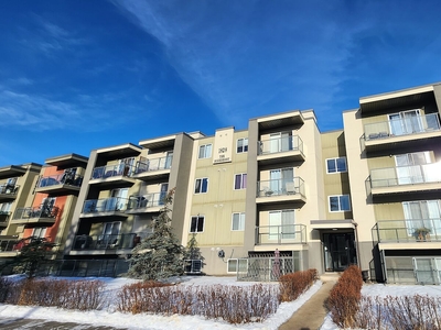 Calgary Apartment For Rent | Sunalta | Stylish, Cozy, Bright 1-Bedroom Condo