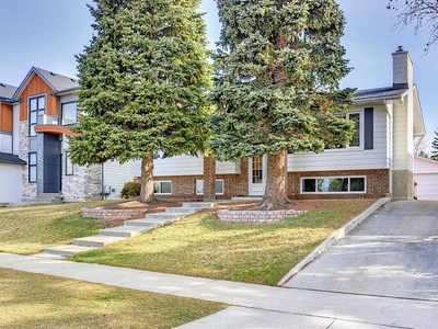 Calgary Basement For Rent | Dalhousie | Beautiful Dalhousie Basement Suite