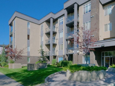 Calgary Condo Unit For Rent | Lower Mount Royal | Bright and Spacious Executive Suite