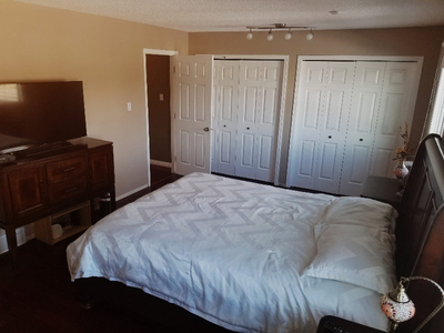 Comfy Furnished Room Rental