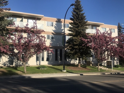 Edmonton Pet Friendly Apartment For Rent | Bonnie Doon | BONNIE DOON MANOR - 2