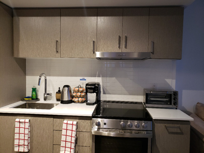 Furnished Room in a Penthouse Condo Near Eaton Centre!