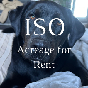 ISO Acreage for Rent