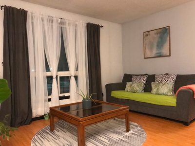 RoomforRENT for Full time Professional Working Female on Feb 2