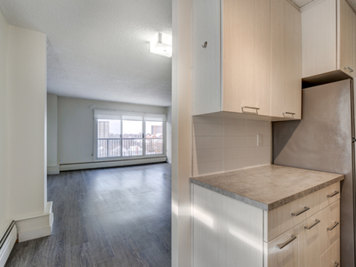 1 Bedroom Apartment Unit Edmonton AB For Rent At 1679