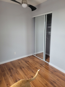 Calgary Pet Friendly Room For Rent For Rent | Ranchlands | Looking for roomate, dog friendly