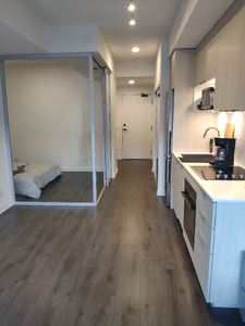 1 Bedroom Condo For Rent Downtown Toronto, April 1 or before