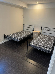 1 Plus Bedroom Walkout Basement For Rent