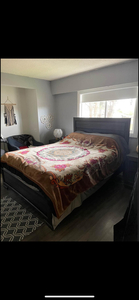 2 private bedrooms available March 1
