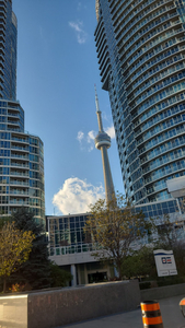 Downtown | Harbourfront | Room for rent short-term