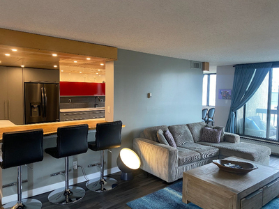 Executive Newly Renovated 2 Bedroom Condo in Downtown Edmonton