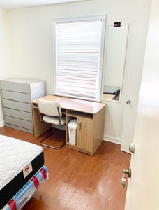 Furnished, Ground Floor Room for male starting April 1st
