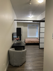Furnished One-Bedroom/Bachelor for Rent Near Ottawa University