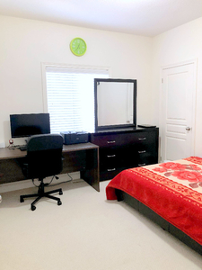 Immediate availability: Room on rent