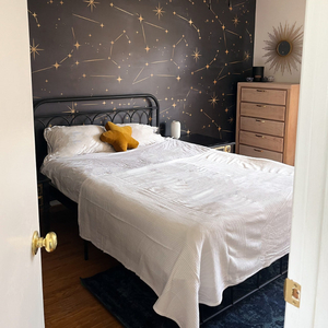 Large Furnished Master Bedroom for Rent- Female Roommates