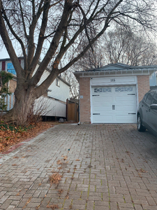 Nice Basement Apartment with 1+Den Bedroom and separate entrance